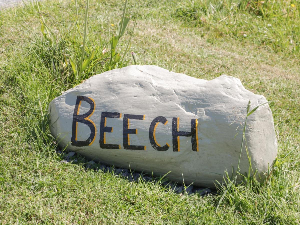 Вілла Beech Алверстон Екстер'єр фото