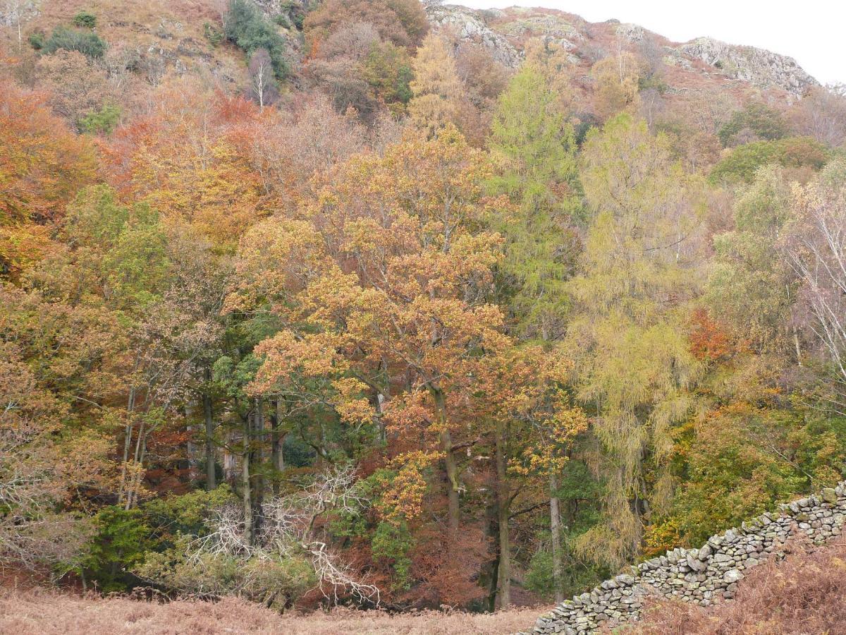 Вілла Beech Алверстон Екстер'єр фото